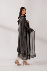 1 Piece Chiffon Embroidered Dupattas/Stoles (FD0047)